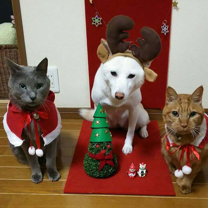 20fd567b 4ab2 433f a554 877e7065ebd6