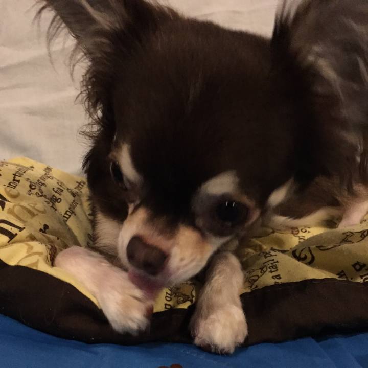 20fe0ecf 6951 421e be82 3dca83109fbc