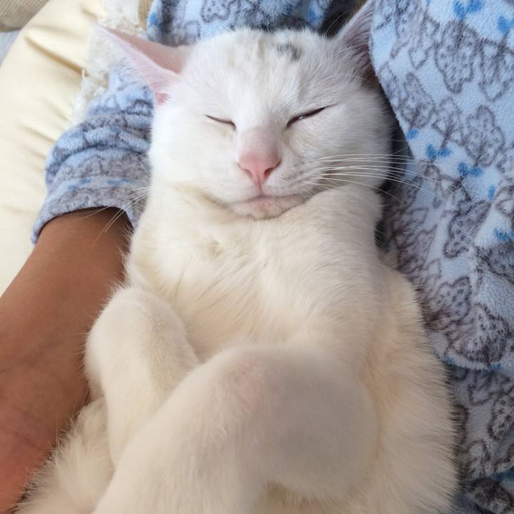 20fe55d9 a3e7 41c1 bb3c 47c331f197bd