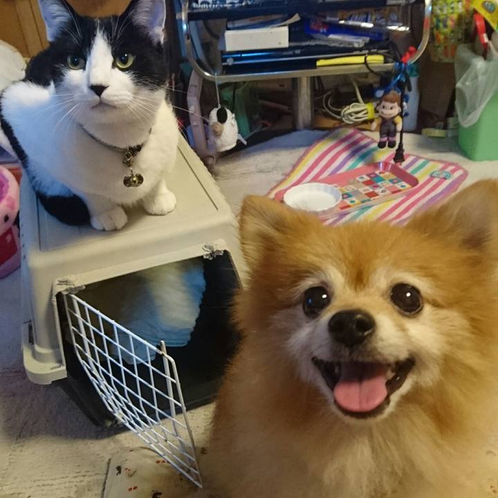 20ff133f 86e7 4f09 8845 f6c39bb39f33