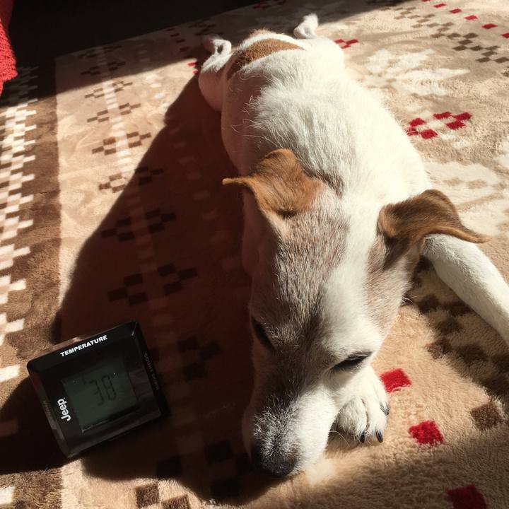 20ffa9f8 8ef5 496e 844b 1332f87eeabe