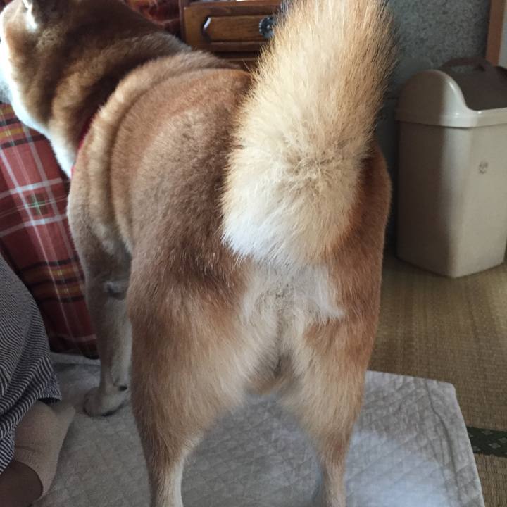 2100bd7f 5e66 41f1 b85b 12686742a699