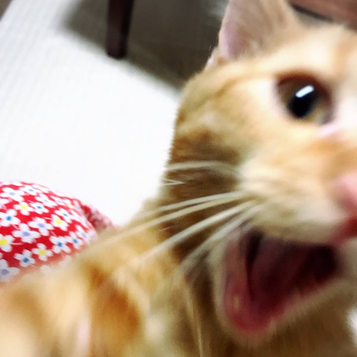 21016348 f7d9 4fd8 9378 1ea1931b8771