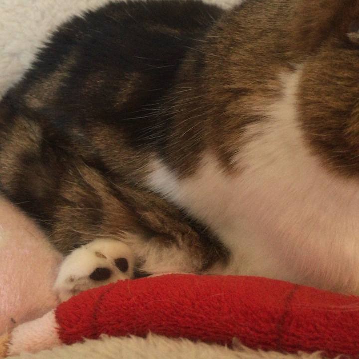 21016843 cf96 4021 a9ee c413552a6bcd