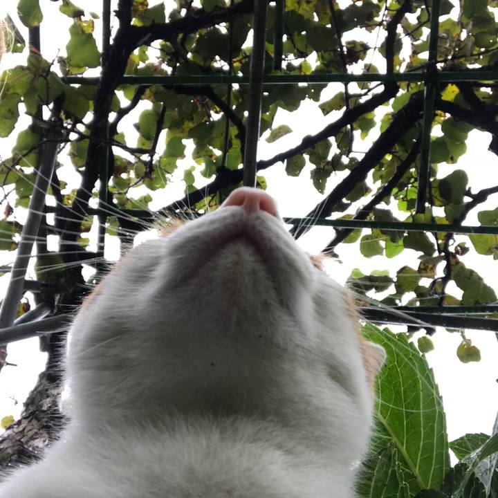 2101f857 e60f 426d 8a99 122d4a0cadba