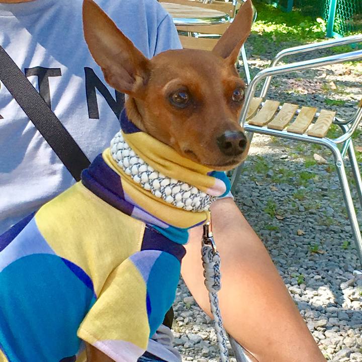 2101fad1 e325 4b63 9436 2b9c439876b0