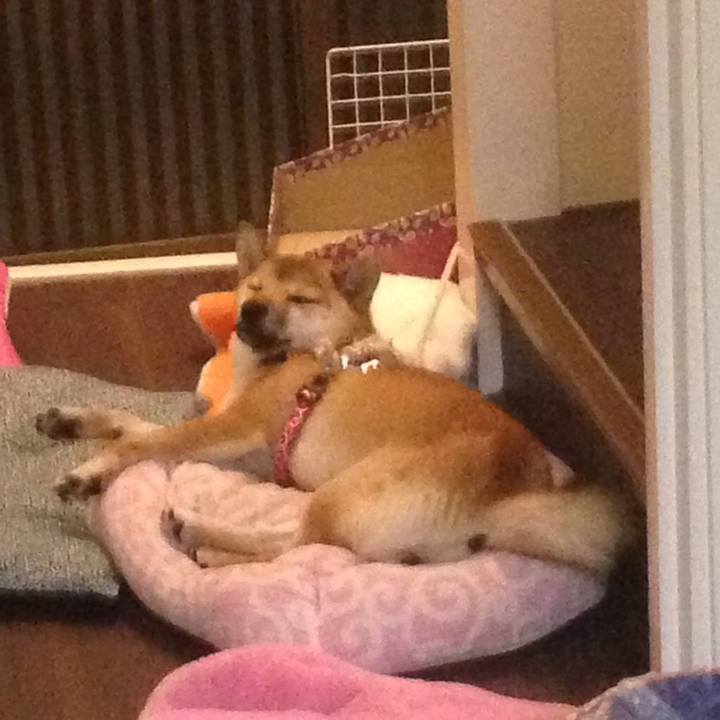 2102987d 1ae9 43cd 943b cb13df57409b