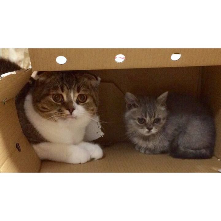 2102ad95 0896 446f a529 03d1856452ac