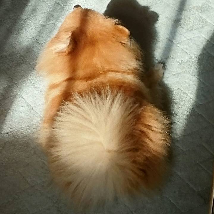 2102c3b5 e9b3 4fb3 9822 a25994b35dca