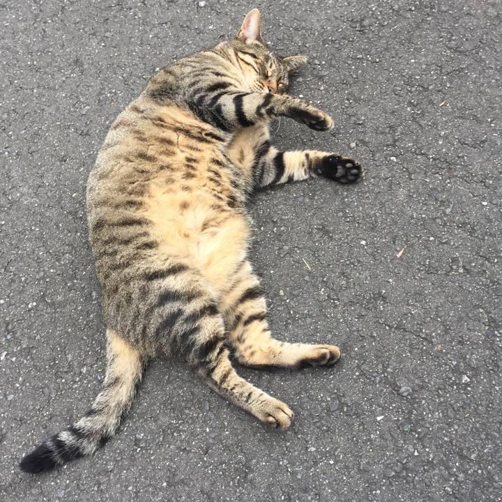 2103a756 6430 4469 b693 4c865da98b33