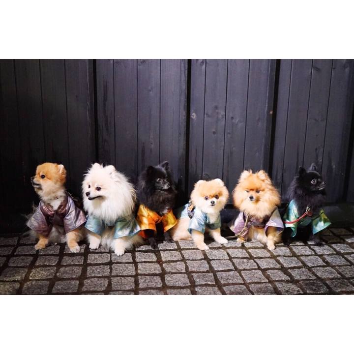 2103cb06 acd5 4618 bac7 9763f2f2c74b