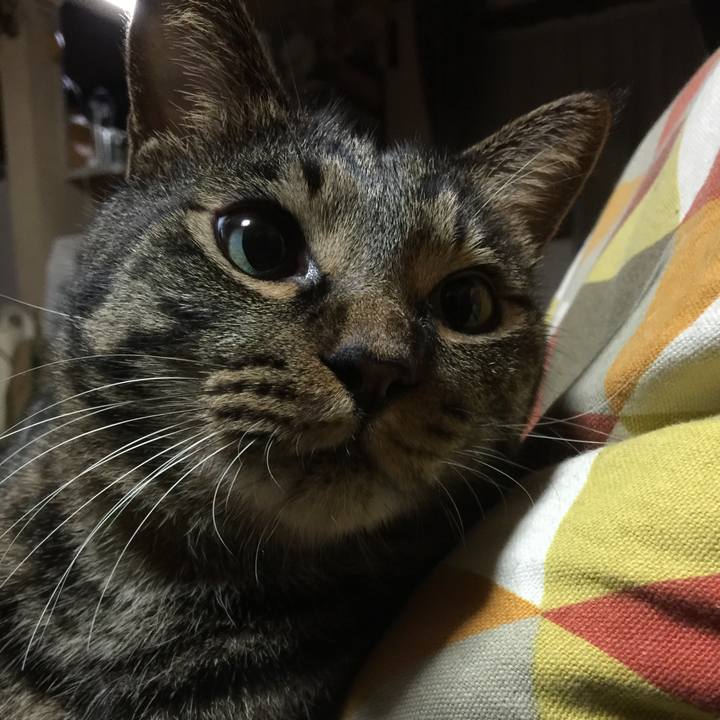 21045fa8 0882 4ec9 8be9 68f1f691bedc