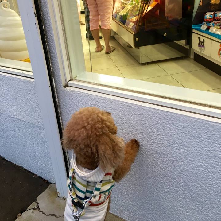 2104e242 1153 4c5b 8c9d dc73431861b0