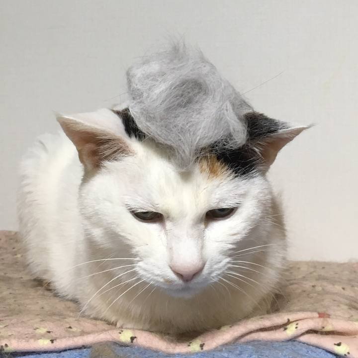 210527d2 f1a3 478e 99a2 e2b76cc06f6f