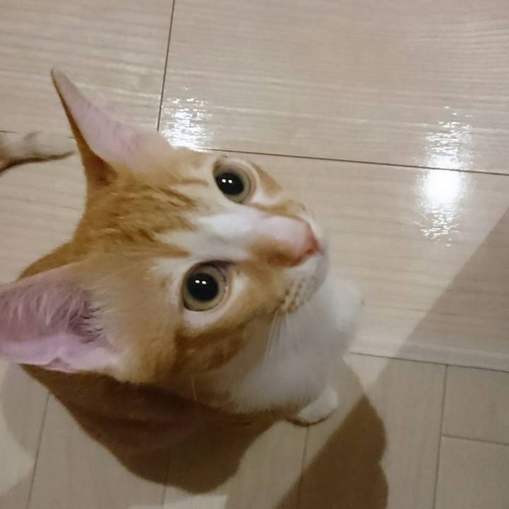 2105a77a 5872 41e7 9844 25eb907c64e6