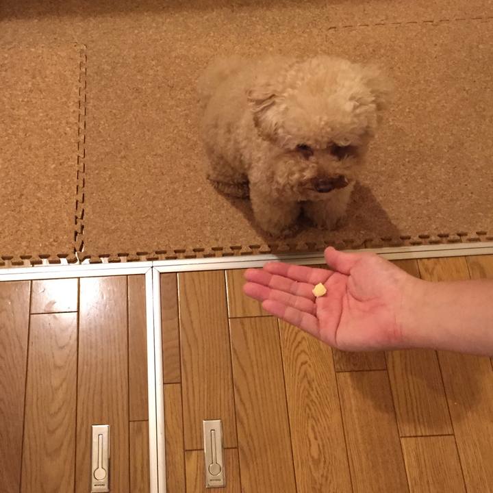 2105b317 bdd5 4481 bddd 93fa5e6a8c33