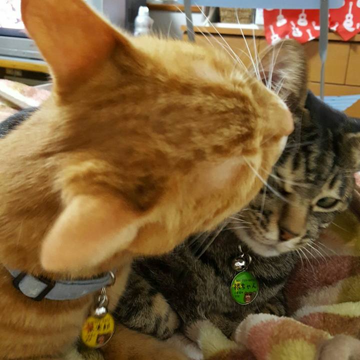 2105fd8f 4e74 4b1c 9ef7 a8f9debcb3e8