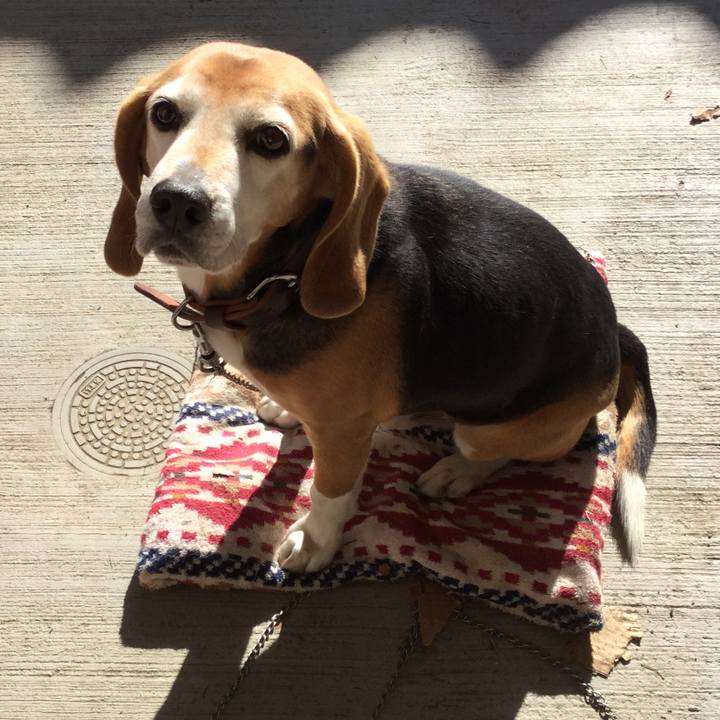 21062dca 329e 421f 8c07 2758339b911e