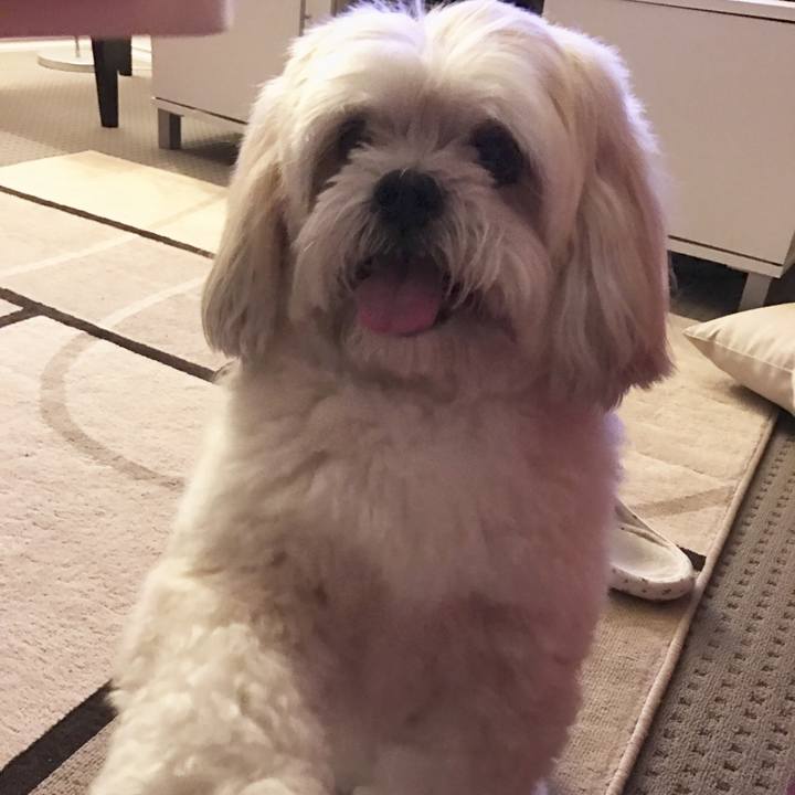 2107283c d1ee 4107 823f 7a0bf39ce53d