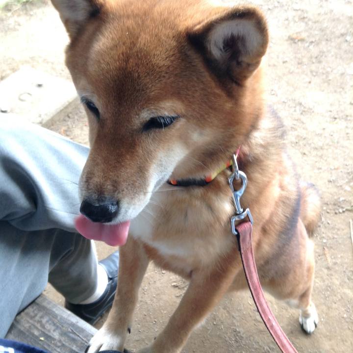 21074ca4 a1bd 4608 81ef 344695deebc7