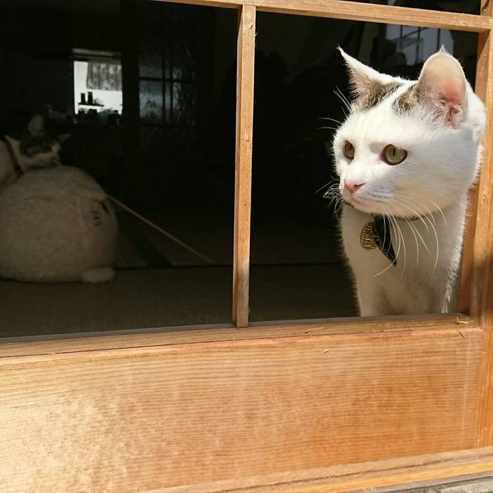 21078101 cf04 426d b782 dba63d5b7c3f