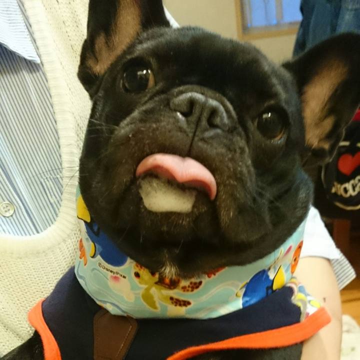 2107bc7c 6638 4971 acf1 620de2b57b2e