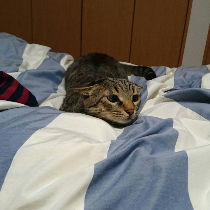 2107e35d ff5a 4f9d bbfc 5b45440381c7