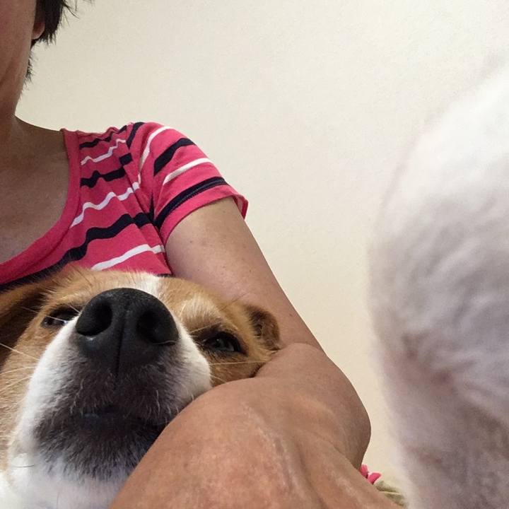 2107eb23 4dfc 43c9 a913 6e7449764e0a