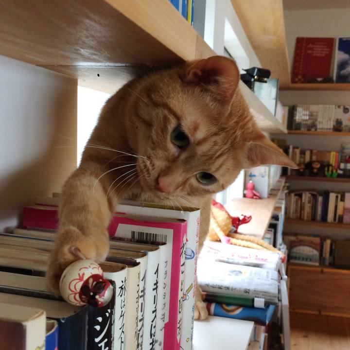 21083545 6f32 41b9 8cf8 d0a6b0f92dc0