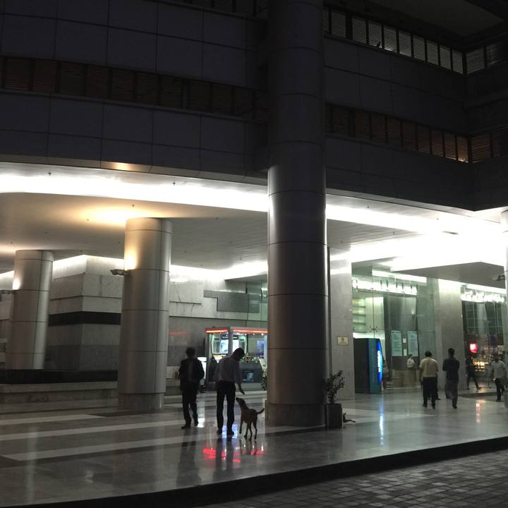 21084667 8522 43c9 8810 7967a9b57e5b