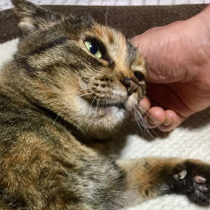 2108b5a3 a35d 4111 b14e 6b8160cbf1f3