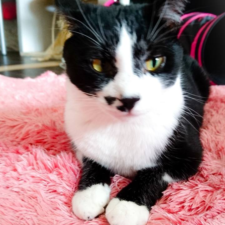 210949c0 4809 4dd2 8b89 5e7307cf5796