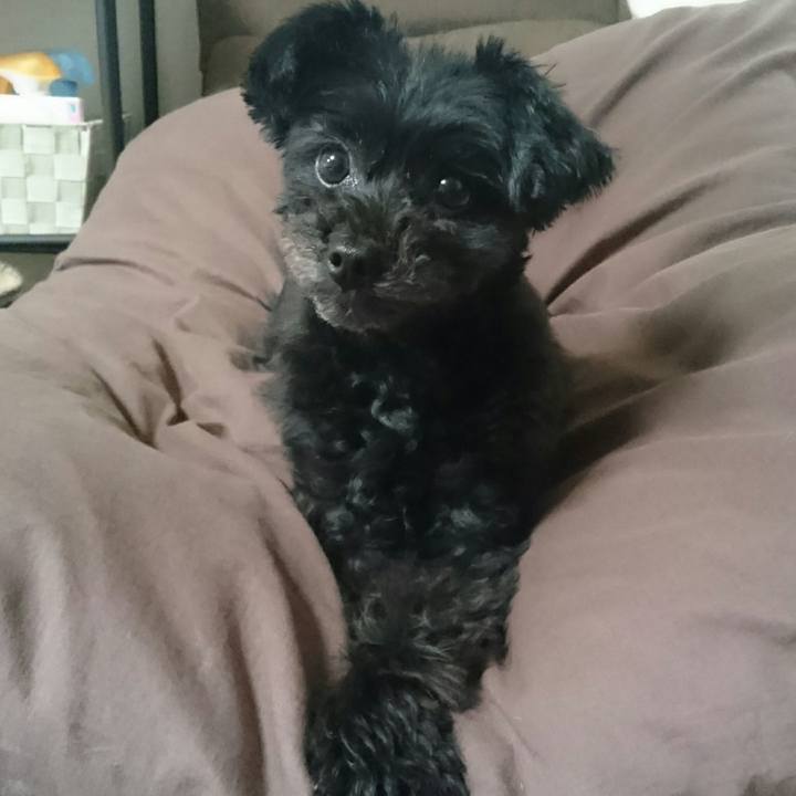 210992bc 4228 4eb6 aa6b 4ffa3ea297a6