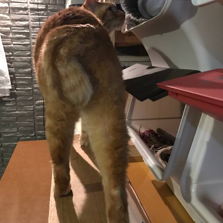 2109b30d 9a20 42d6 b118 5e2caad2bb85