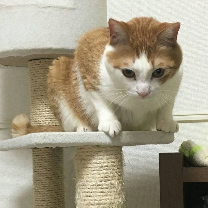 210a1184 54c0 4384 9492 53ae05b10318