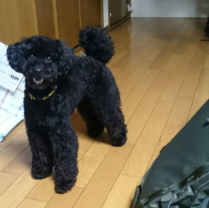 210a3d13 b264 48bd 81eb b0b12da9f8db