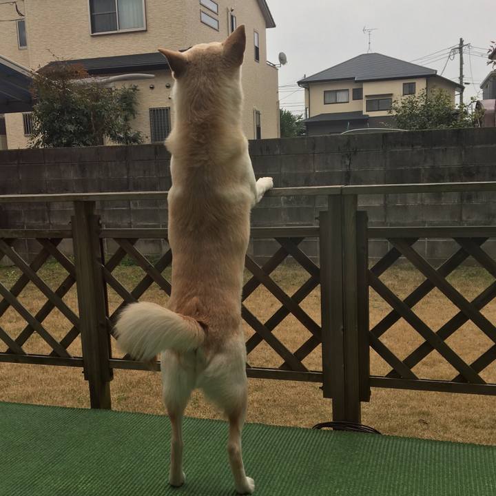 210b3977 2aee 4a3e 9273 50b169bb41b4