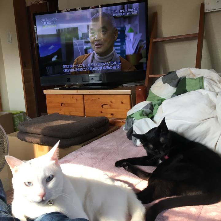 210b8514 1552 4d0e 9696 9898e93f9a5a