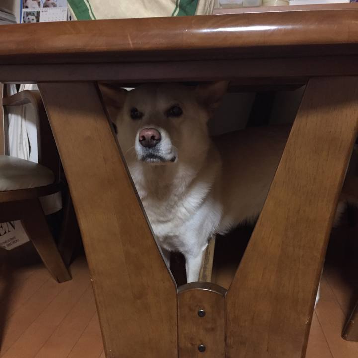 210be3b5 2ed3 4662 9887 31b455246e9a