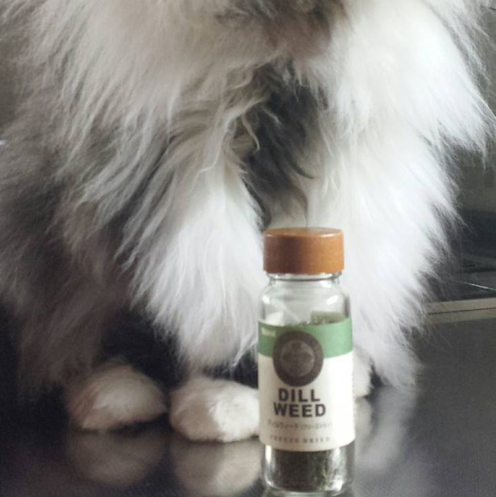 210c0d81 90b3 410a 8720 afb09d0123fc