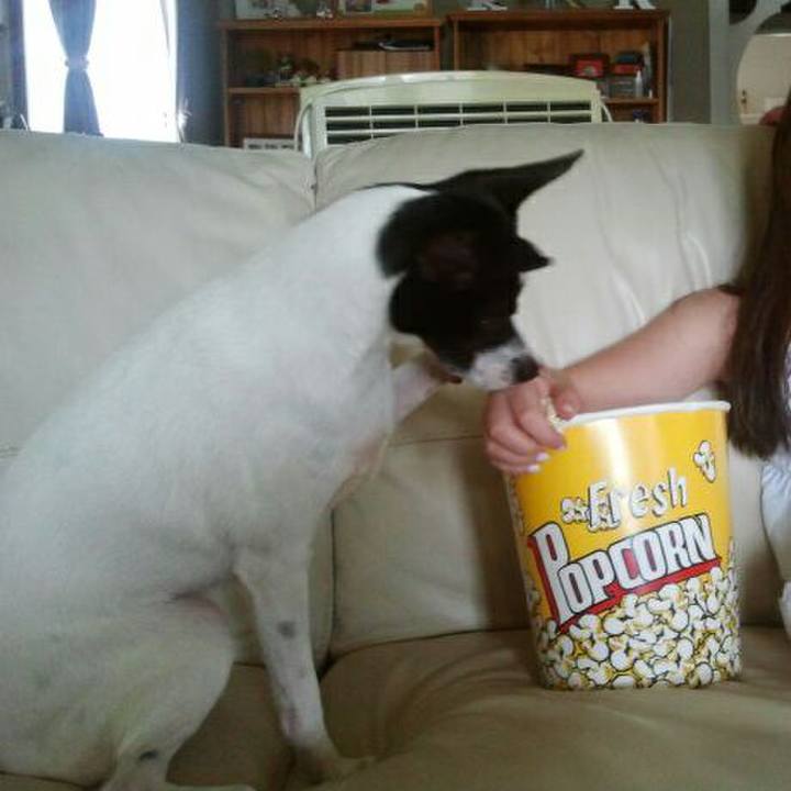 210c4ba9 a0d3 44e1 b794 ebc68d747a94