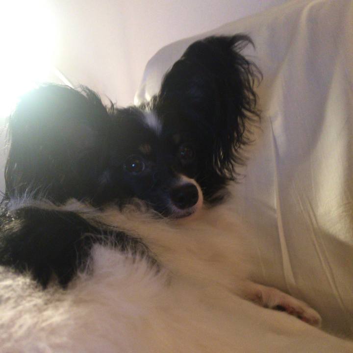 210c64d9 4fcd 4dbd a44d e93be1acfca6