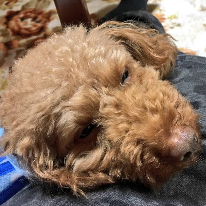 210d7cdf 9fc3 4369 be93 6ade811bb1fa