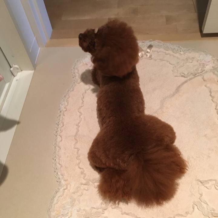 210d7e7a fe08 4d97 82ee 25e27de2f411