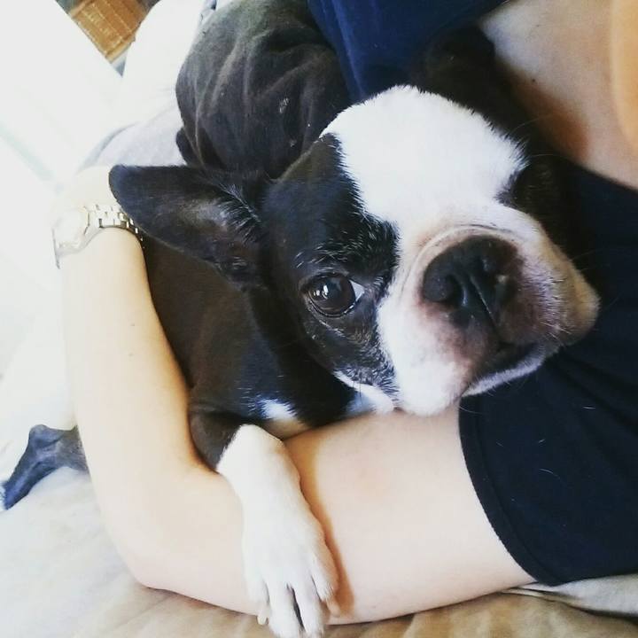 210db041 4807 4461 834b aaa48272947d