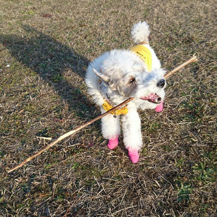 210ddbc3 b627 4651 b90f 36c1d33c931a