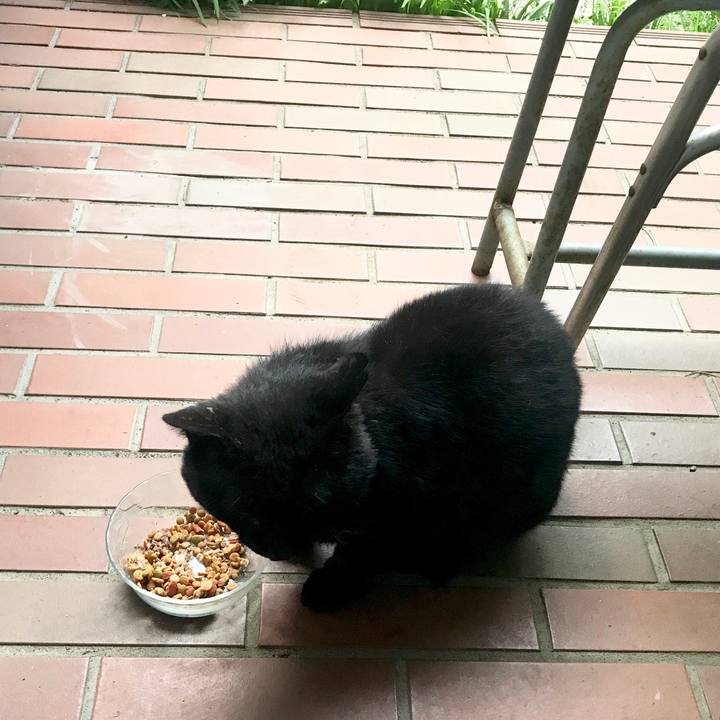 210e5912 9615 4577 bdcc d0c90c8255ce