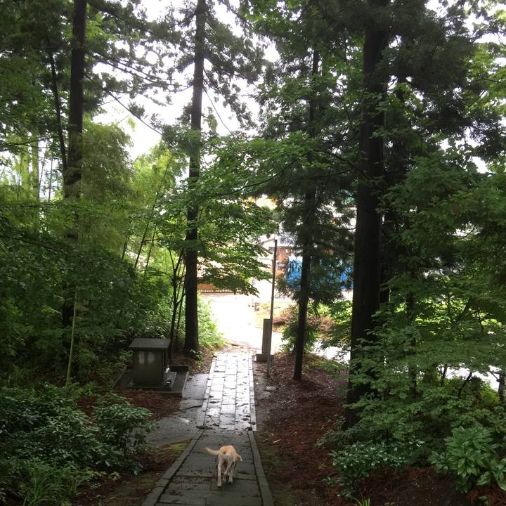 210ea08b ef4b 4c61 beee 4d177ff064c1