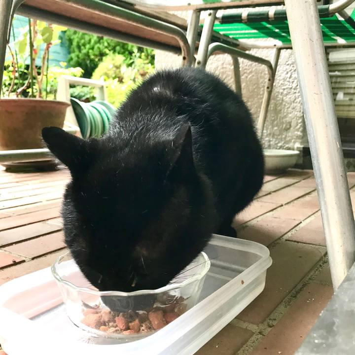 210edc98 6ec8 4ca9 816f 4a0c15ea5d53