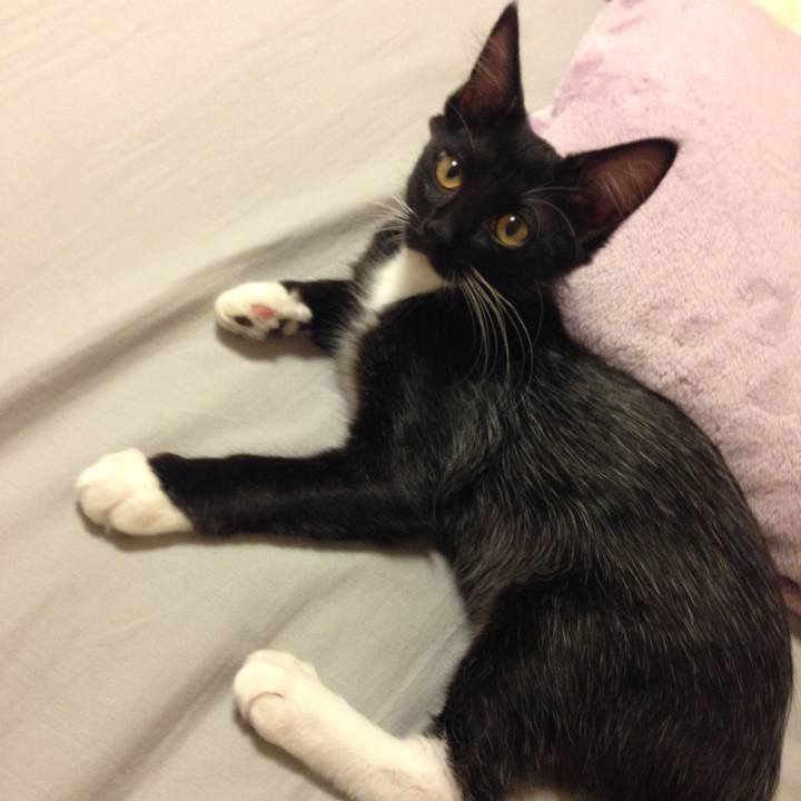 210f4bf3 5920 47bd 9657 0b111ccf0b25